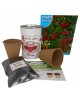 Kit de cultivo Tomate Cherry en lata